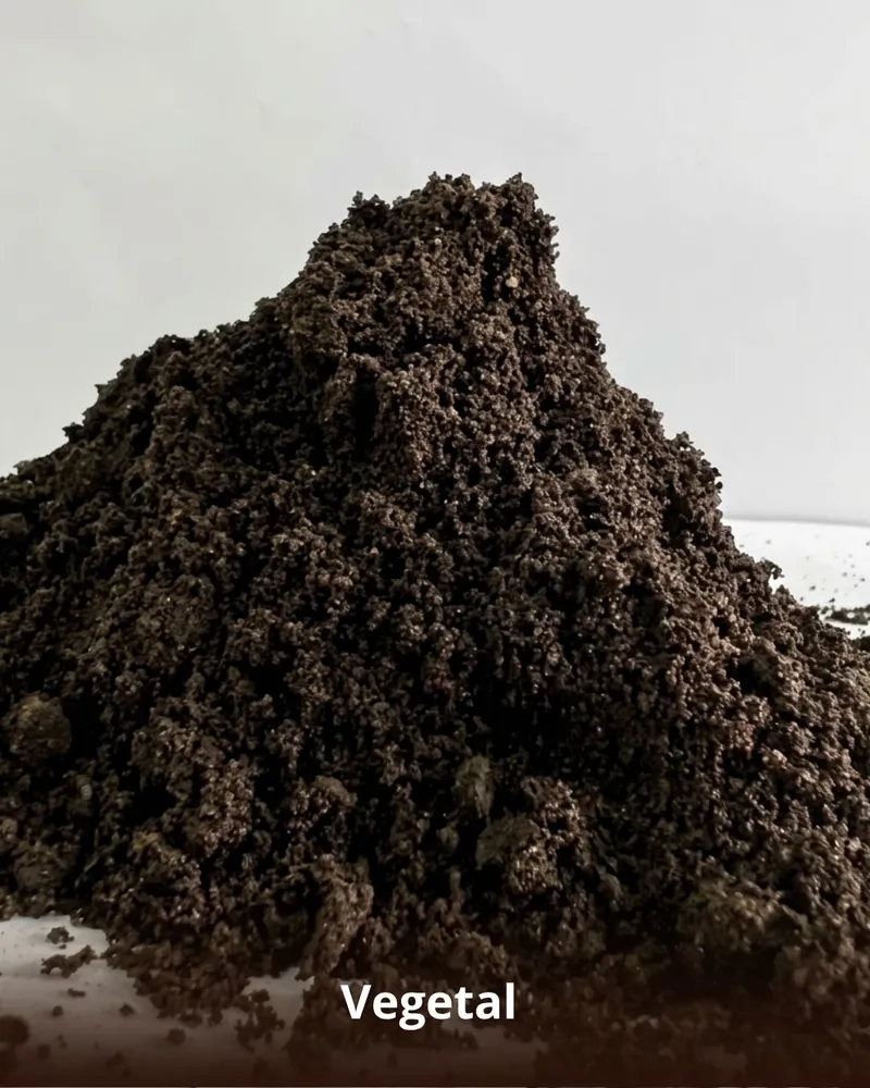 Areia Vegetal para Jardim